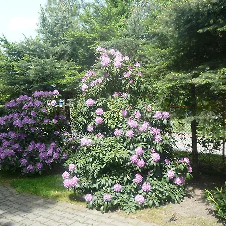 Dworek Genny 4* Polanica-Zdroj
