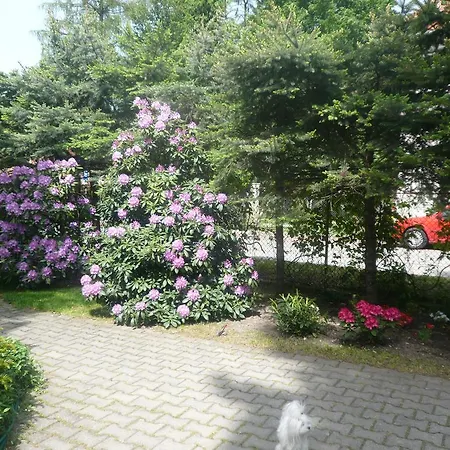 Dworek Genny * بولانيكا- زدروي