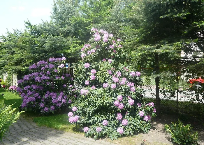 Dworek Genny * Bad Altheide