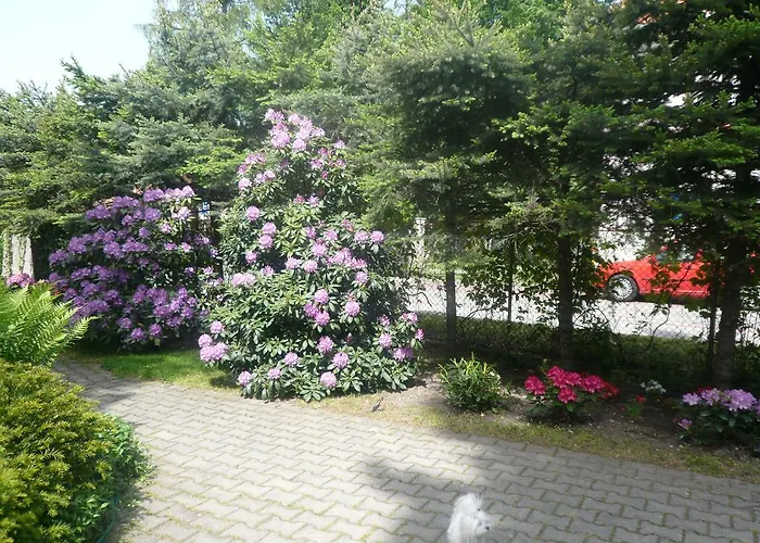 Dworek Genny * بولانيكا- زدروي