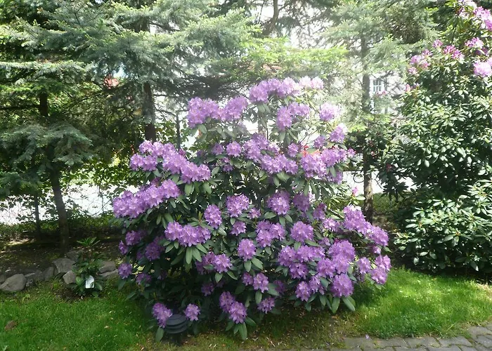 Ferienhaus Dworek Genny